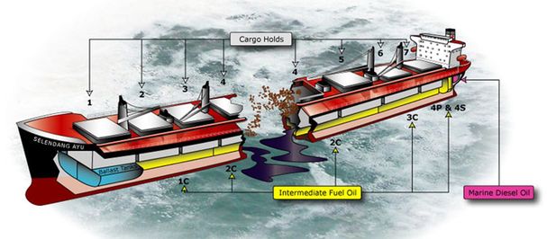 Seledang_Ayu Seledang_Ayu